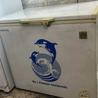 مجمدة • فريزر