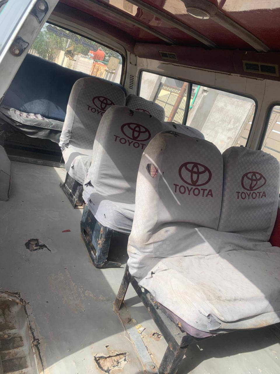 تفاصيل بل صور
