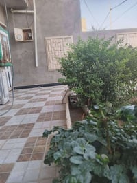 حي الجامعه • ٢٥٠م • طابقين