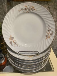 بلغاري • ٩ قطع • ٢٣ سم