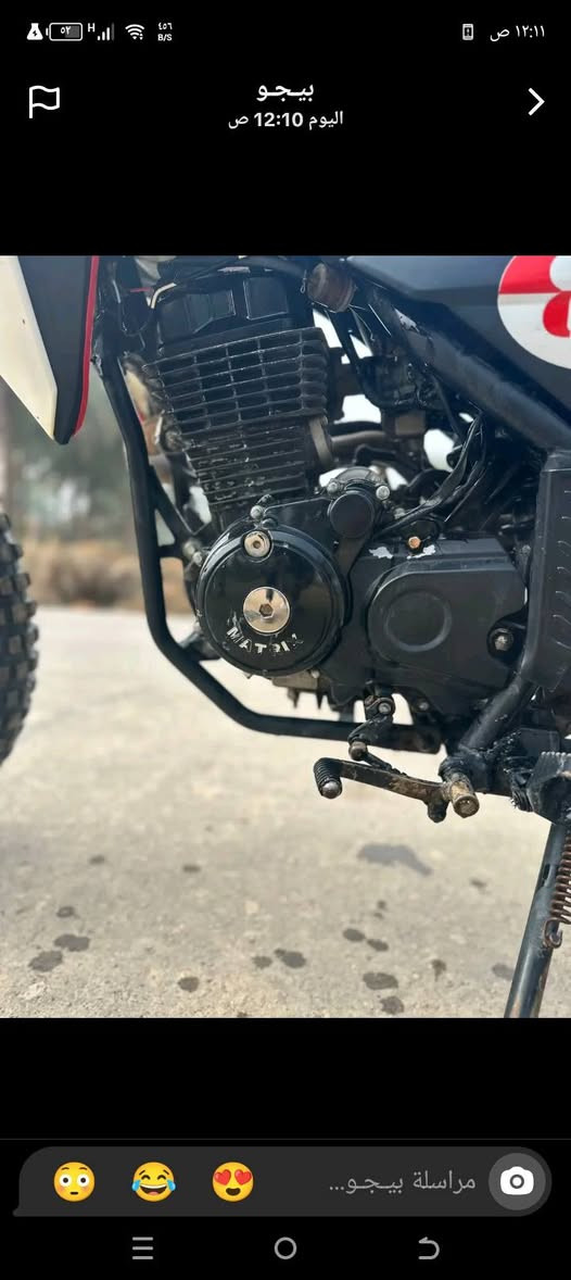 قفاز جبلیی 21اوراق اصولیی مدفوع کمرك مکفوله کفاله عامه دراجه تخبل خیرر من الله للمراوس حسب القناعه وللبیع مکان حله محاویل قرب علیی ابن الحسین سعر خاص رقم ‏‪***********‬‏
