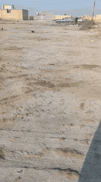 قطع اللبيع في حي الجوادين الاستفسار ***********
