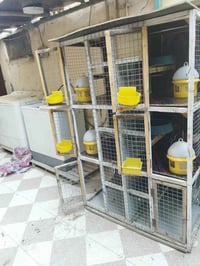 متاح حله ابي غرق خانه ام 6كامل ملحقاتها خشب بلوك وليس فايبر المايعجبه ...