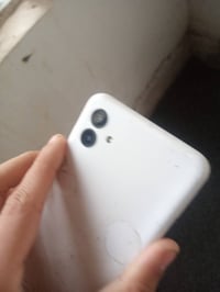 فطر بسيط • شغال • كركوك