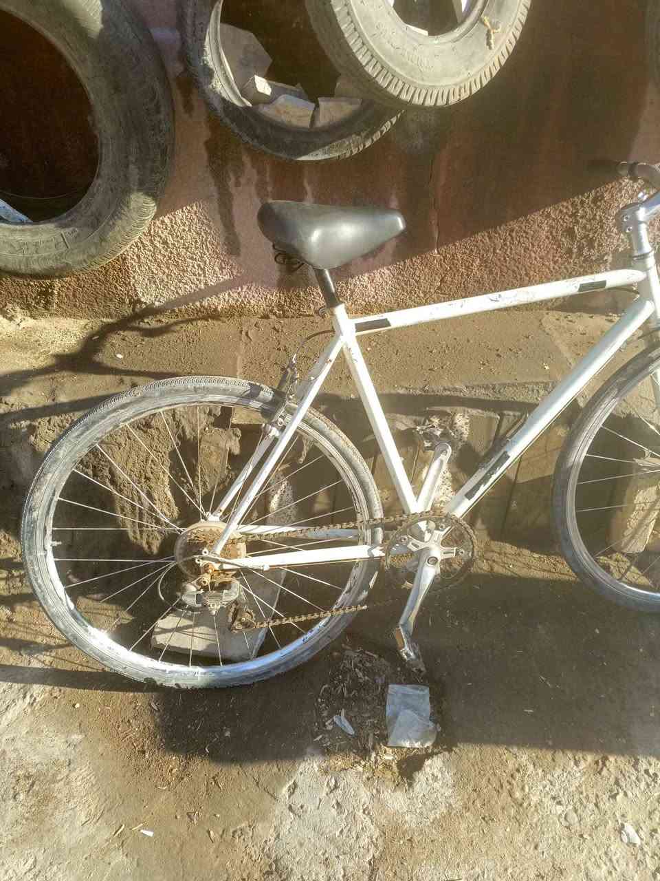 ‎بيسكل ياباني‎ عمارة, ميسان


**إذا كنت صاحب هذا الإعلان وتريد حذفه لأي سبب، رجاءا أرسل رسالة إلى الدعم الفني**