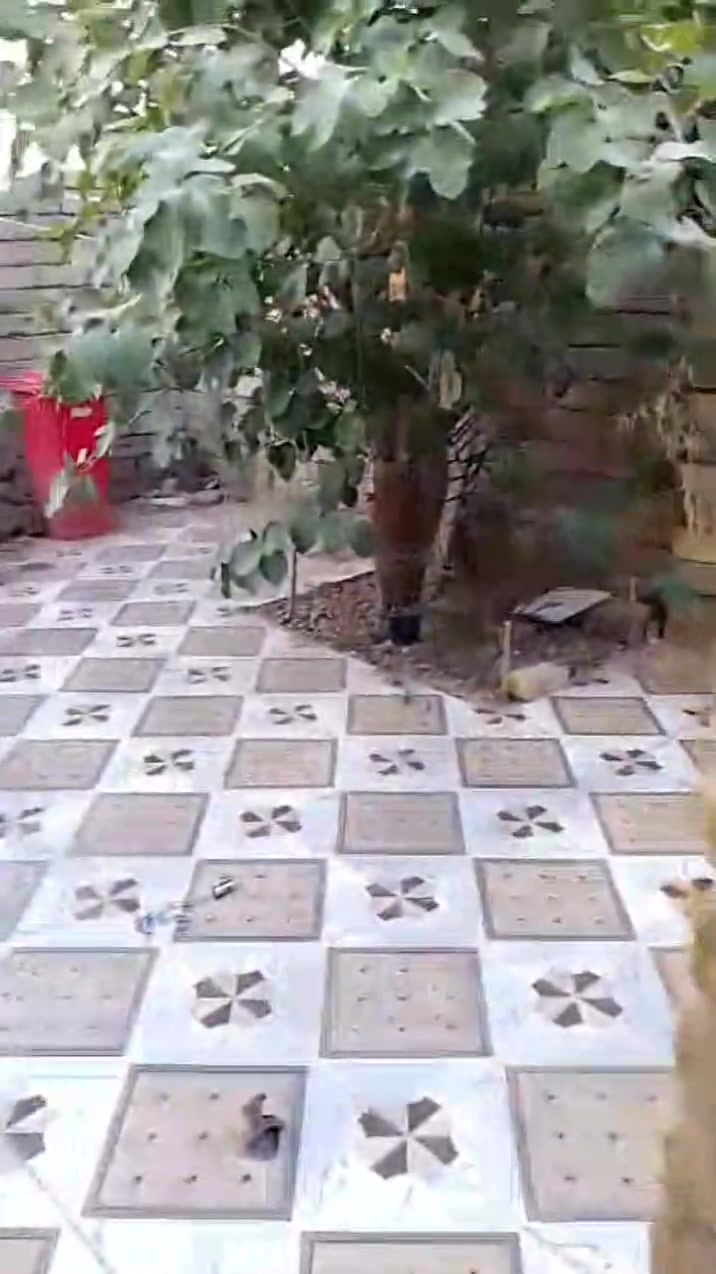 بيت للبيع في مقاطعه 149 كامل ديوانيه مطبخ غرفتين صاله حمام داخلي وصحيات خارجي ترك جبير ساحه جبيره السعر خاص او تصال على هذا الرقم ‏‪***********‬‏
