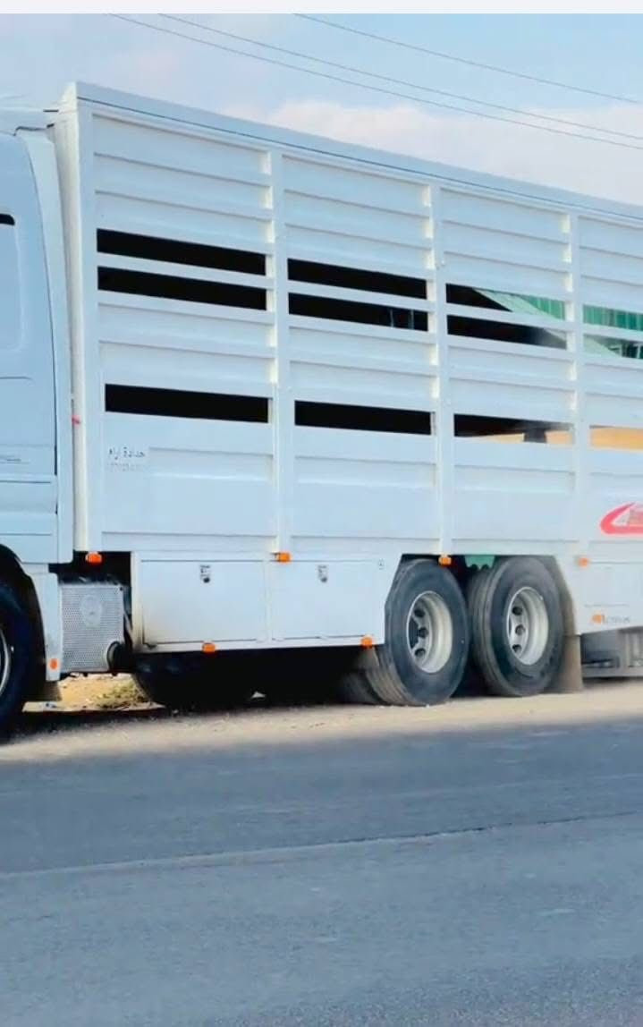 للبيع بودي مال اكتروز جديد طول 8متر بلادي 

بريص 480 كهربائيات كله جديد صبغ جديد. 

***********📞
