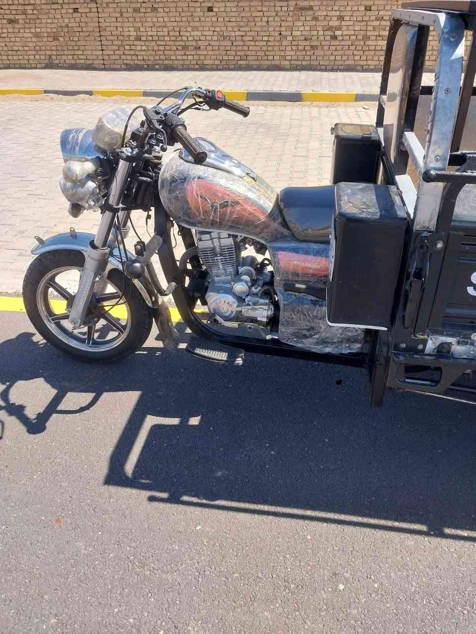 جمرة (فحل) موديل 23 طالعه ب25 شهر 6
 رقم وسنويه. راعيه (***********)
