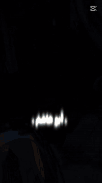 ستوته • موديل ٢٠٢٢ • أوراق صالحة