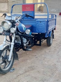 ٢٠٢٣ • رقم ابيض • شاصي مكفول