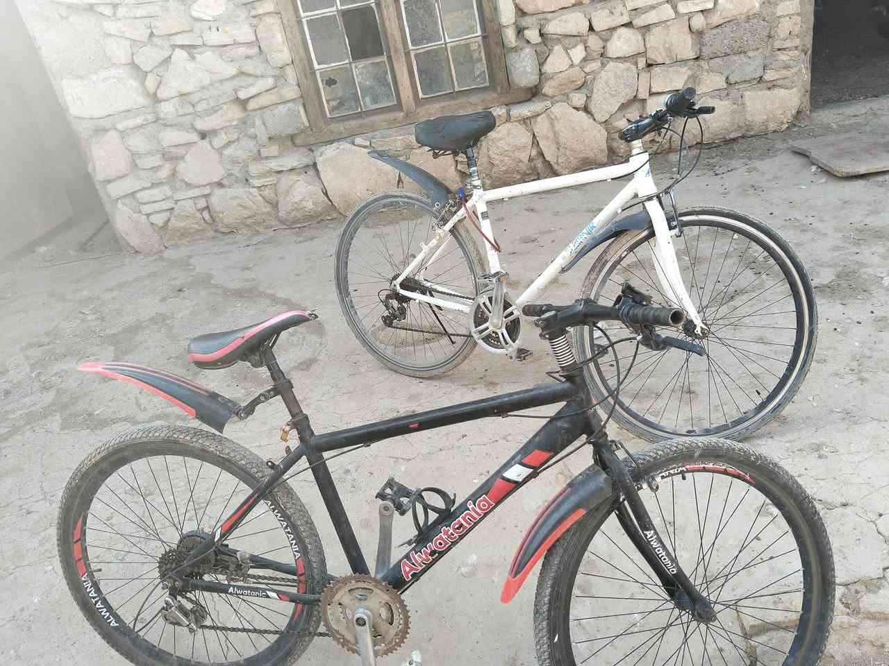 للبيع للبيع


**إذا كنت صاحب هذا الإعلان وتريد حذفه لأي سبب، رجاءا أرسل رسالة إلى الدعم الفني**