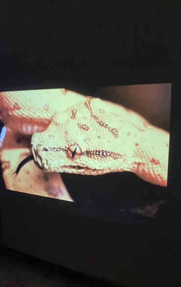 داتا شو Yuzino دقه 1080p حقيقي
مع امكانيه دعم دقه 4k 
تنربط مع جميع الاجهزه و الهواتف 
نظام صوت ستيرو 
تتوفر خدمه توصيل جميع المحافظات 
***********
