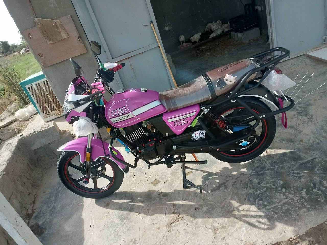 ياالله
السلام عليكم
كفاله عامه 😊 😊 
دايون نفخ للبيع
لون  مميز  🩵
موديل 24

استعمال قليل

اوراق اسكنر
مكينه 200
5 نجوم الأصلي 
كتابه حمره
سويج سجينه 
تايرات جدد
كهربائيات كلها شغاله
دكمة دبل اشاره بلادي
الدراجه اي نقص مابيها
السعر مليون و500قفل 
العنوان حله جبله مدينه االباقر 
رقم *********** الشراي يتصل وبيه خير ويدلل مو شراي لاتشلع كلبي فدوه اعبر المنشور
