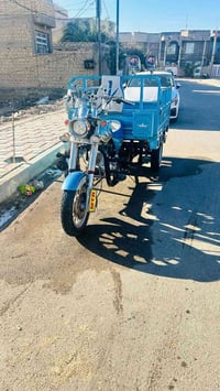 ستوته • شاصي 16 • رقم أبيض