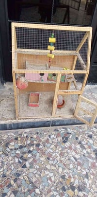 قفص طيور • مجال بسيط