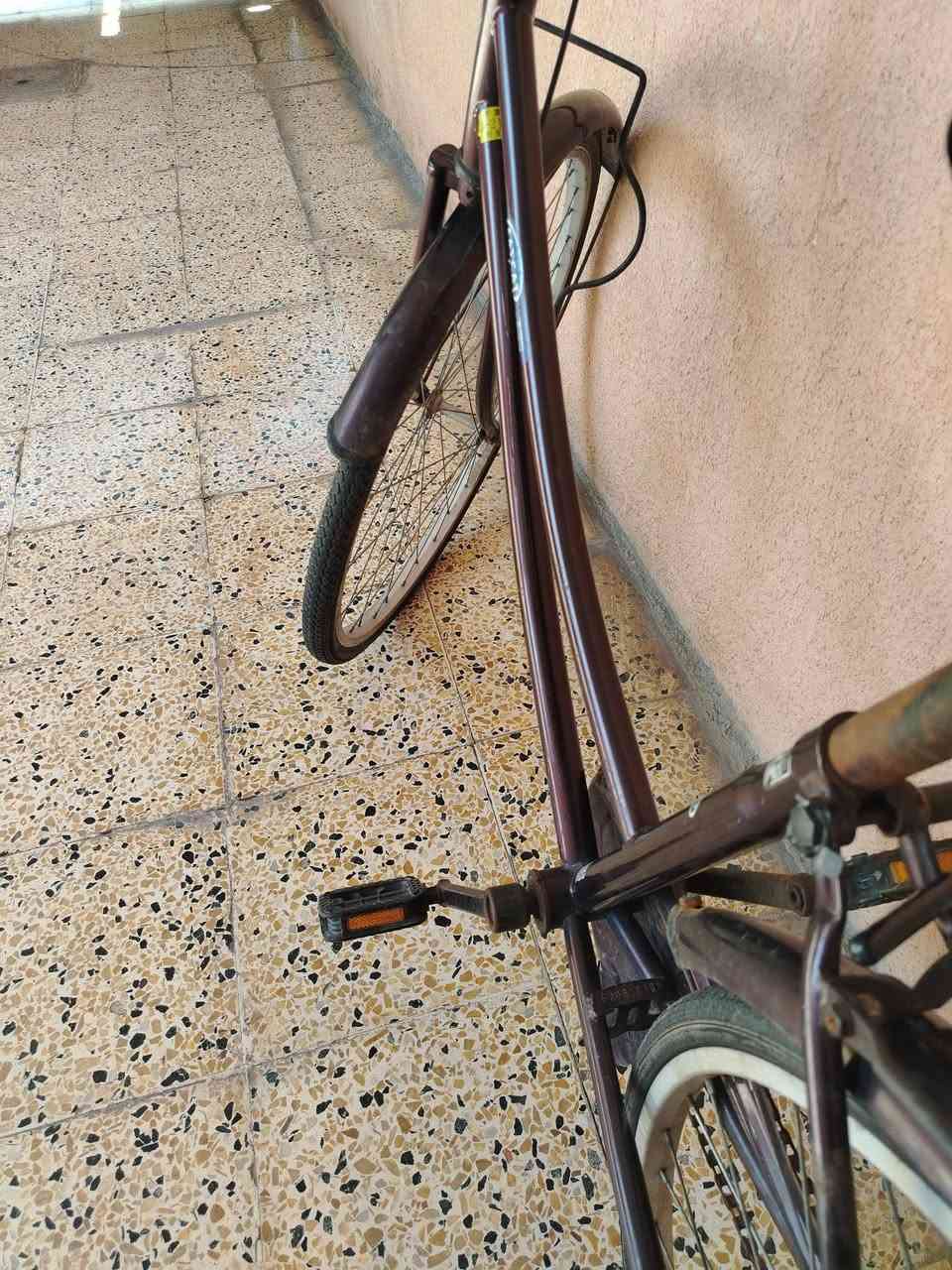 بايسكل للبيع نضيف بي فقط الزنجيل تعبان السعر 60 وبي مجال


**إذا كنت صاحب هذا الإعلان وتريد حذفه لأي سبب، رجاءا أرسل رسالة إلى الدعم الفني**