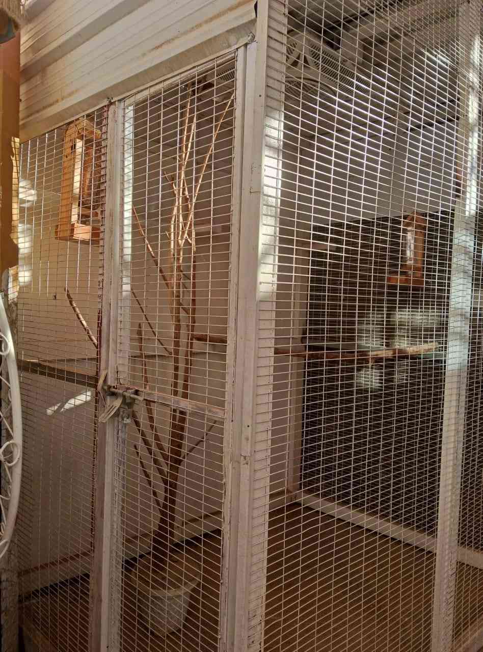 *********** تواصل على هذا الرقم
