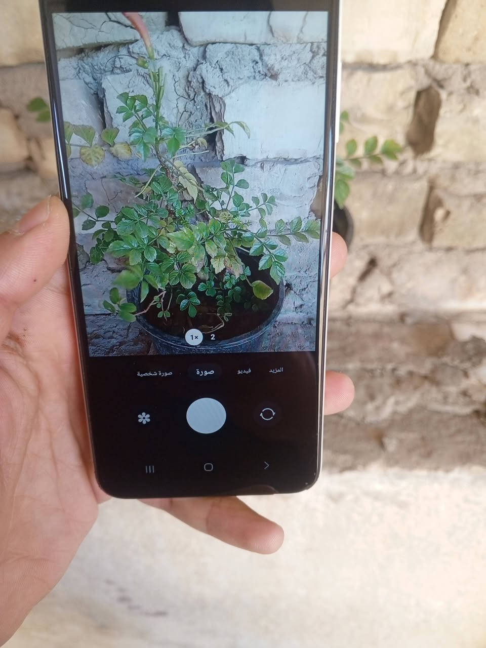 اسلام عليكم جهاز سامسونج A03ذاكره 64 سعره 65جهاز نضافته 75بل 100


**إذا كنت صاحب هذا الإعلان وتريد حذفه لأي سبب، رجاءا أرسل رسالة إلى الدعم الفني**