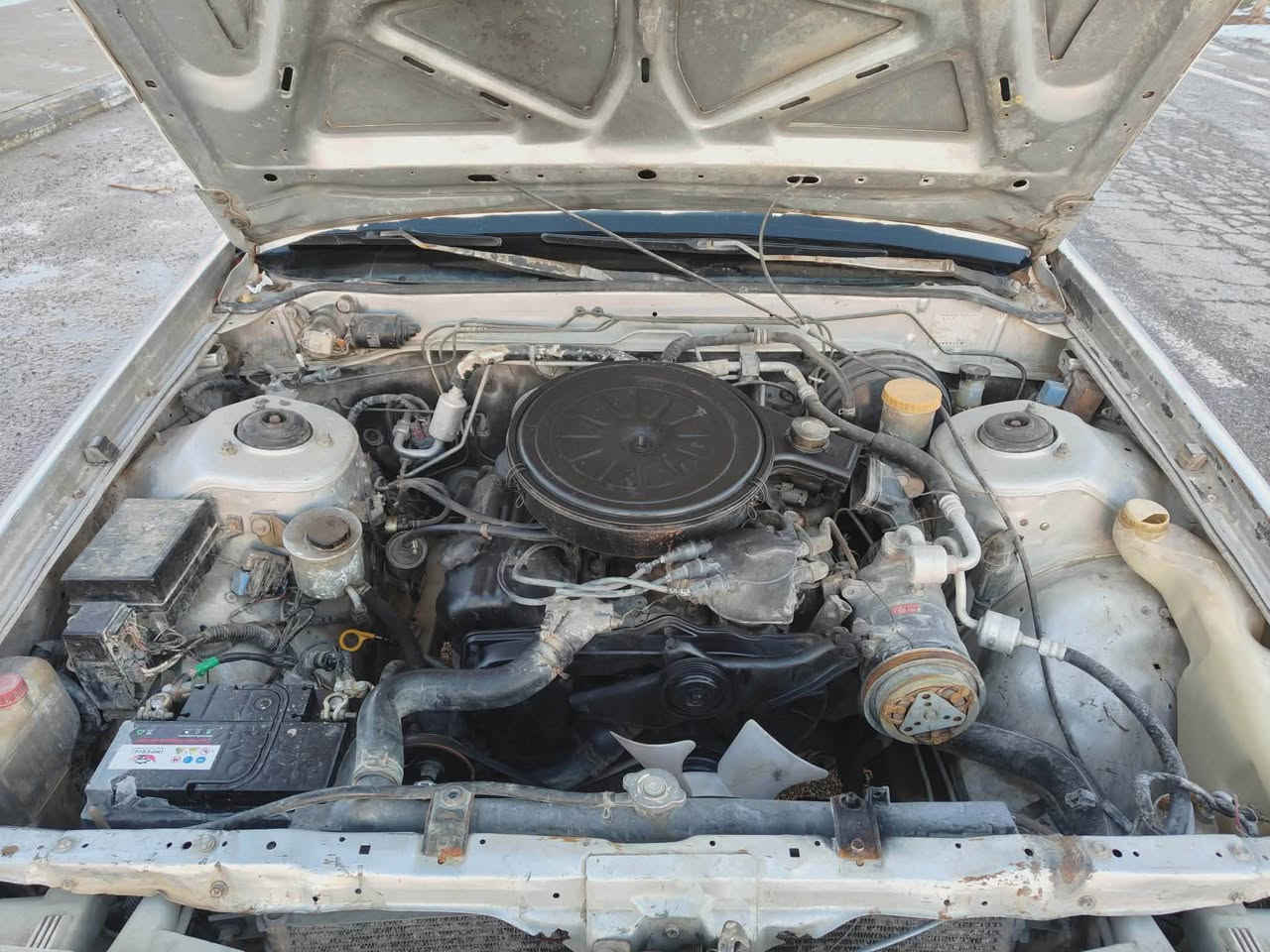 کوردی،...،،عربی 🌹🌹مـاشـااللــــە
🧿

سیارە حرە لکل محافظاتشرط حاسیبە بغداد
سەیارەکە بۆخواریش دەبی بەشەرت حاسیبە

سلیمانی سیعر29کەمێک معاملە
***********یان***********
نیسان سدریک 2001مەکینەوگێڕواکسل
بەشەرت تەبریدلەسەرسیوچ سەنەوی بەسەرچووە بەشەرتئ تەحویل 5پارچەی بۆیاخە بێ دەعمی‌قورس تەقەوڕەقەی نیە تایەوپاتری تازە
تەحویل ،،،غەرامە،،،،بڕاوە،،،بەشەرت

عربی،،،***********
مکان سلیمانیەسیعر29ورقە بیمجال
نیسان سدریک2001محریک6سلندرکیرعادی اکسل بشرط کلە بلادی تبریدثلج❄️
سنویە صاقطەباسمی تحویل مباشر شرط 5قطعە مصبغ بدون ظرراوحادث
کهرباءصدرحدادی تایرات باتری جدید
تحویل مباشر ،،،، ،بشرط السليمانية, العراق
