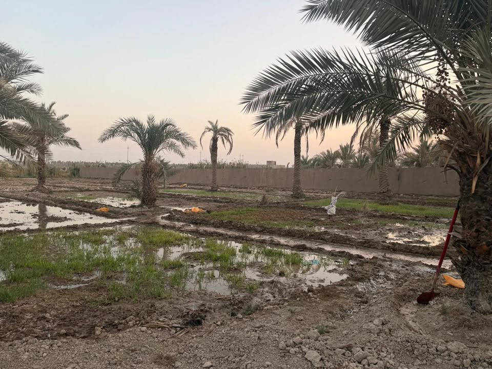 السلام عليكم بستان للبيع المساحه 1900 متر يصلح مزرعه ويصلح بيت مسيج بلكامل كهرباء وماء اساله وماء سقي يحتوي على كوخ في الفظليه   قريه الزهراء يبعد عن الشارع العام سوق الشيوخ ناصريه 600 متر   ***********
