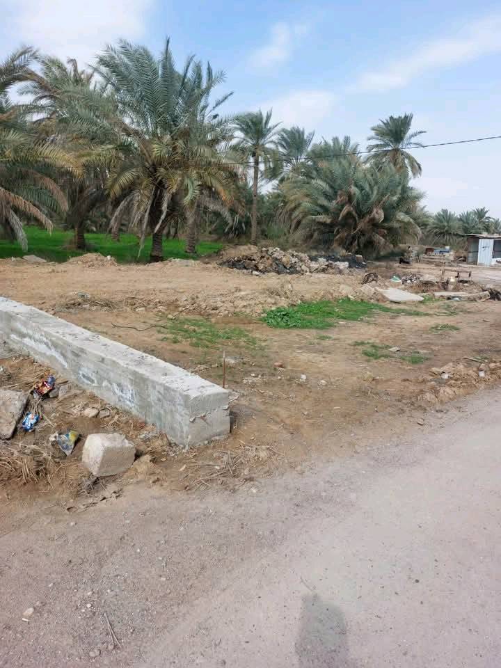 السلام عليكم
قطعة أرض سكنية من ظمن بستان ملك صرف موقعها بغداد المدائن  يم شيخ علي بيها إقرار مستعجل مساحتها 125 متر الواجهه 10 متر ونزالها 12.5 متر تبعد عن الشارع العام 500 متر تقريبا....  للاستفسار الاتصال على الرقم  بي واتساب.