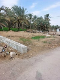 قطعة أرض سكنية • المدائن يم شيخ علي • ١٢٥م