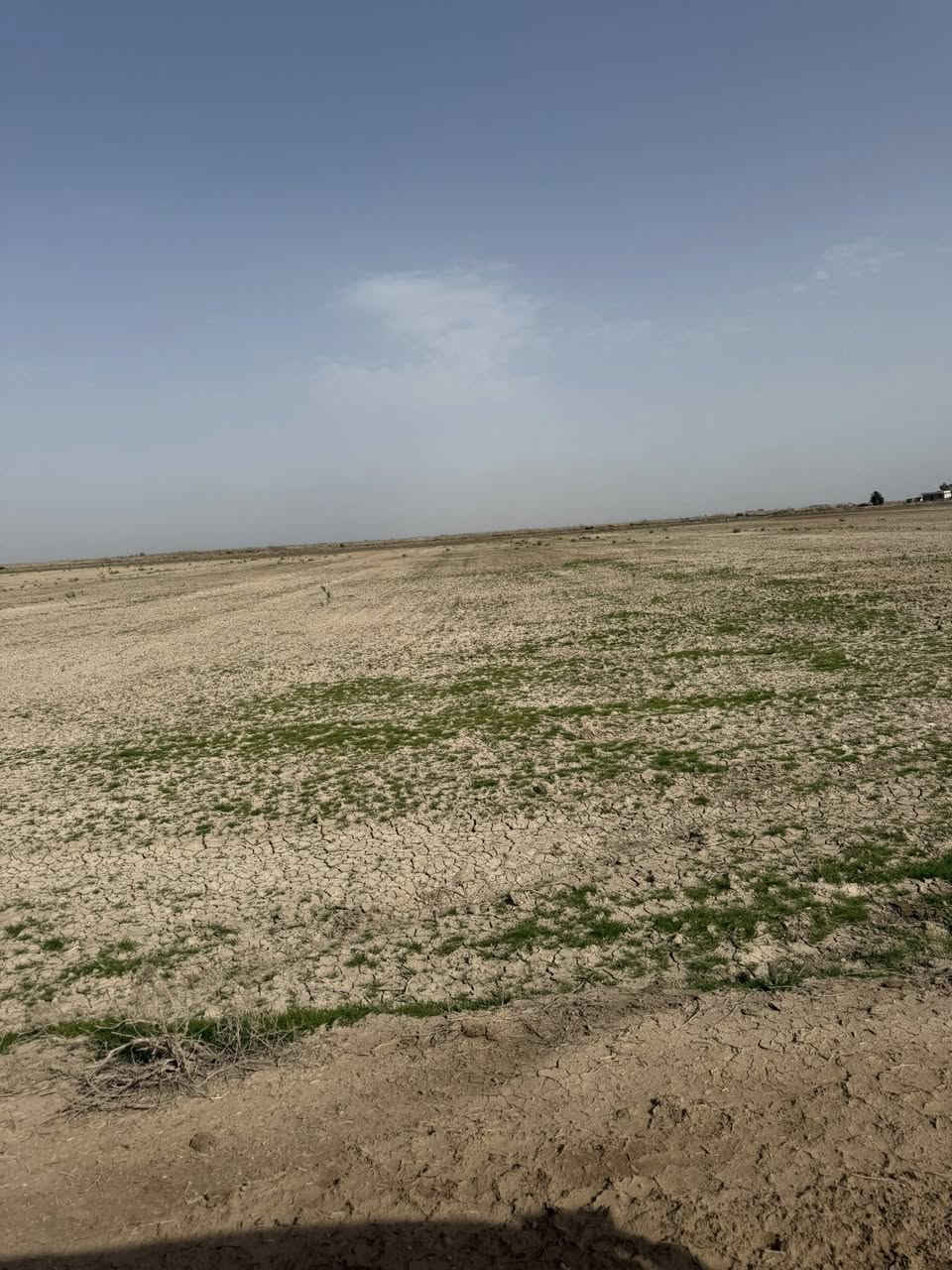 السلام عليكم ورحمة الله وبركاته
ارض زراعيه للبيع المساحة 40 دونم عقد 35 تنازل 

مباشر عقد مجدد وكأمل استصلاح زراعي نضام السقي 

إروائي قنوات و بزل حصه ماء صيف شتاء تبعد عن 

التبليط ٢ كيلو المكان الصويره سعر الدونم 2 مليون

للاستفسار اكثر /. ***********/.  ***********
