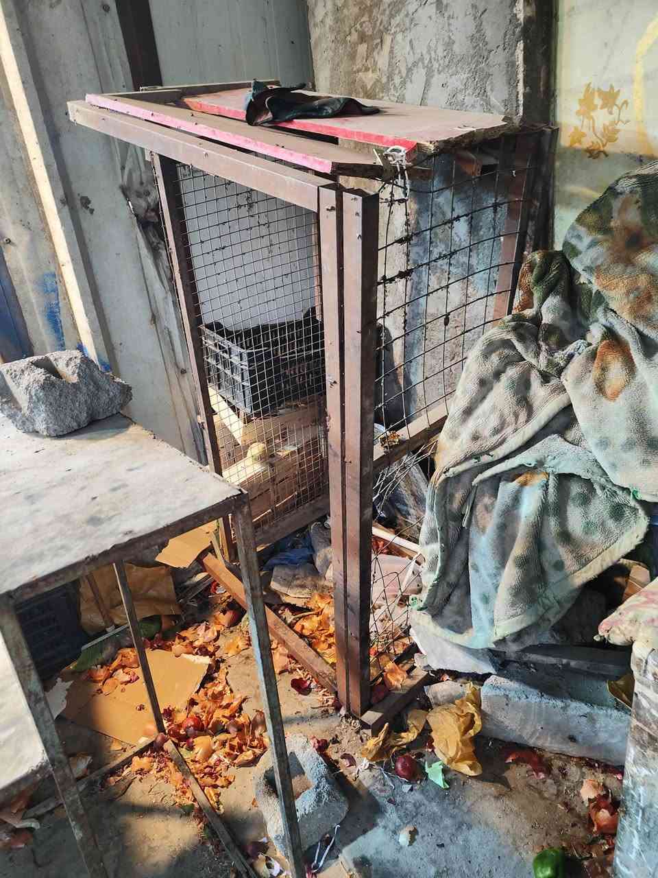 السلام عليكم هذني ميوزه 3  لبيع مكاني الناصرية مركز قيم وخذ


**إذا كنت صاحب هذا الإعلان وتريد حذفه لأي سبب، رجاءا أرسل رسالة إلى الدعم الفني**