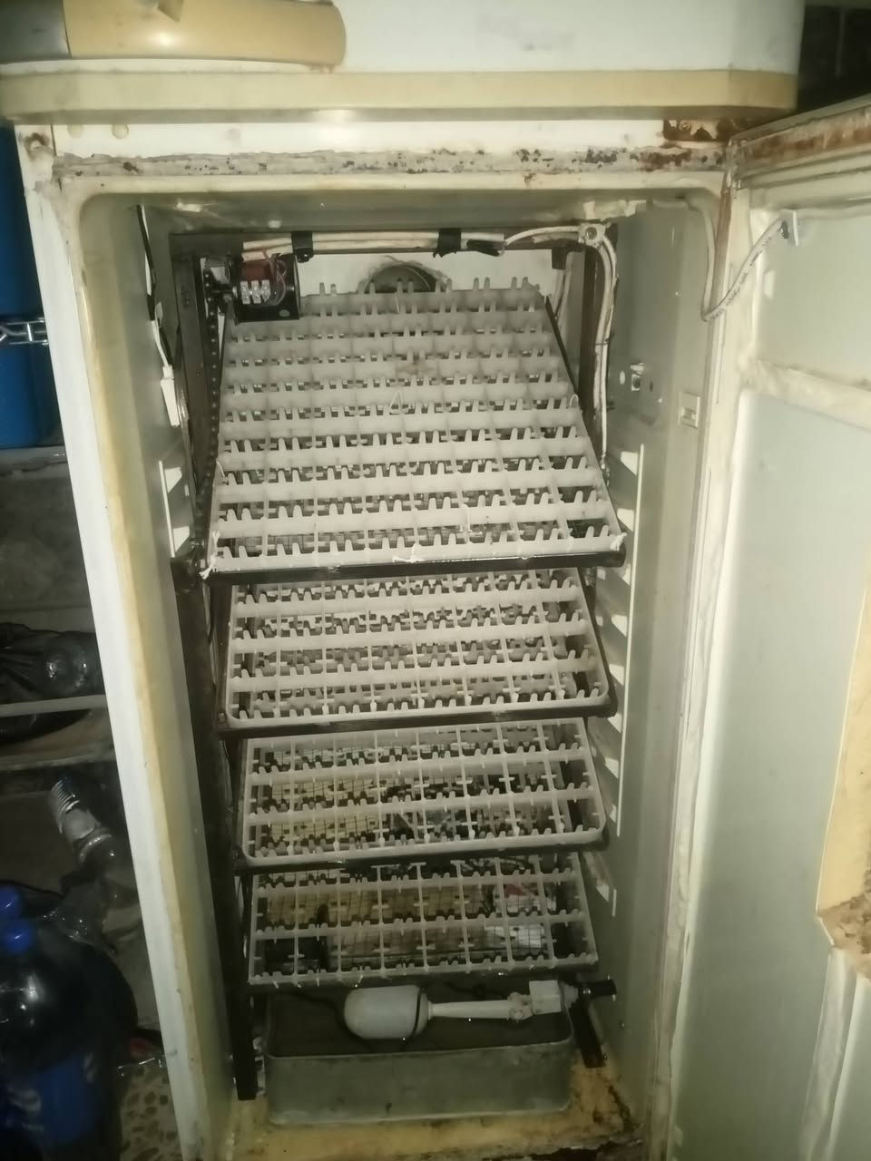 بطاريه طاقه شمسيه للبيع. 200 امبير
+مفقسه ثلاجه تاخذ 500 بيضه كله شي درجئ اولئ
مكاني حاج علي ***********
