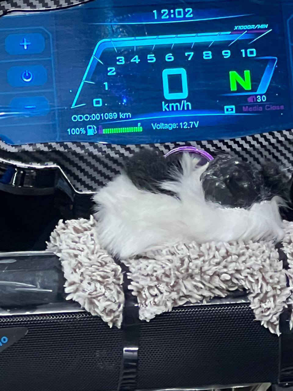 السلام عليكم ❤️‍🔥🧿
دراجه سيفان 2025 

دراجه مرتبه فول مجنبزه.

محرك 150cG

شلعه ومعدل شك الكاع

الله شاهد دهنه كله أم زويل

وبانيزن محسن

مكاني بغداد الطارميه

السعر مليون و 200

الهاتف:‏‪0780 671 3583‬‏
