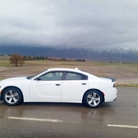 تشارجر SXT • ٢٠١٦ • رقم مميز