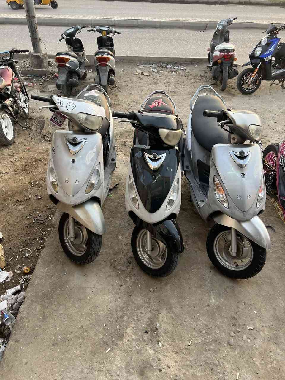 مرححبا
ماكسات منغولي 
كله بلاد 49
كلهن شغالات اي نقص مابيهن
مختمات 
وع750الف
العنوان/العمارة/العرضات/فلكة القاضي 
***********
