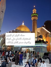 حملة انوار ام البنين • زيارة الامام علي • الثلاثاء بعد العصر