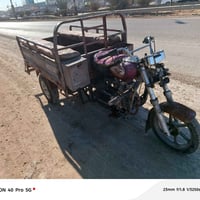 ستوته أم طير • بدون أوراق • محتاجة كهربائيات