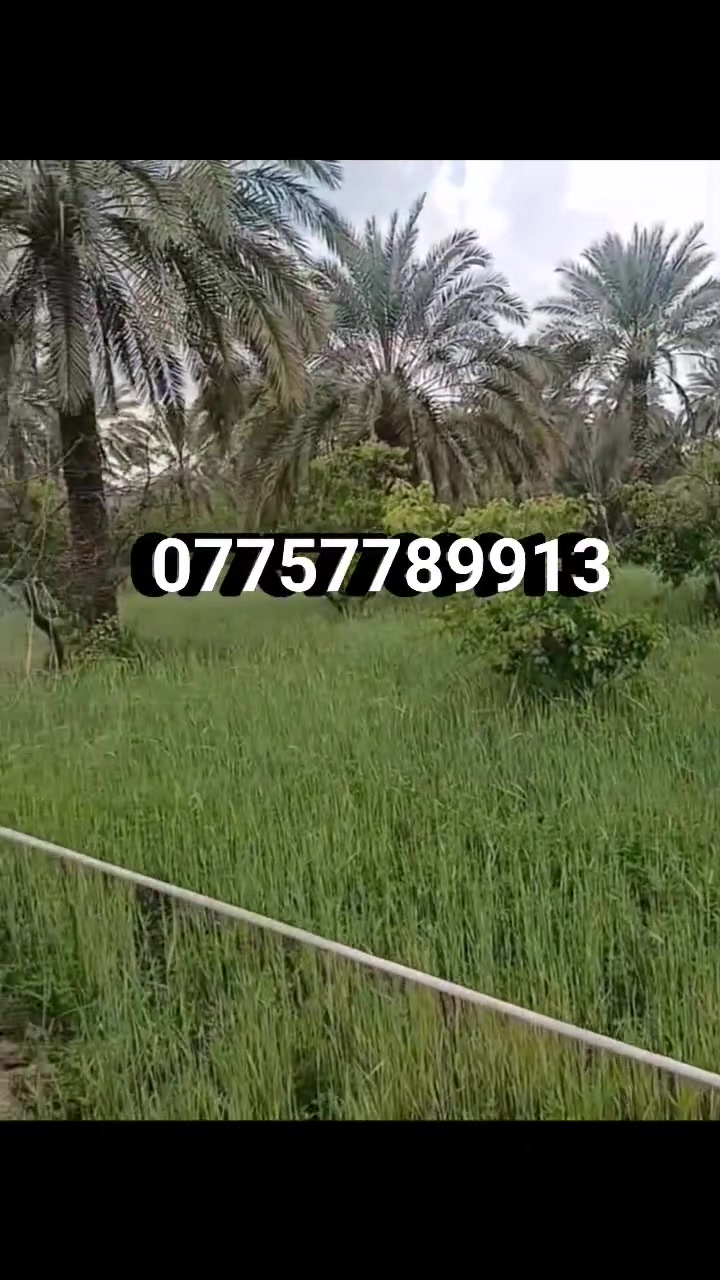 سلام عليكم
للبيــــع3دونم ونص طابو سند25مخدوم مي كهرباء تبعدعن التبليط شارع سيد علي100متر شارع 6متر مكان راقي 
تباع شلع اوحسب الطلب وجه الدونم الواحد50متر 
للاستفسار ***********
