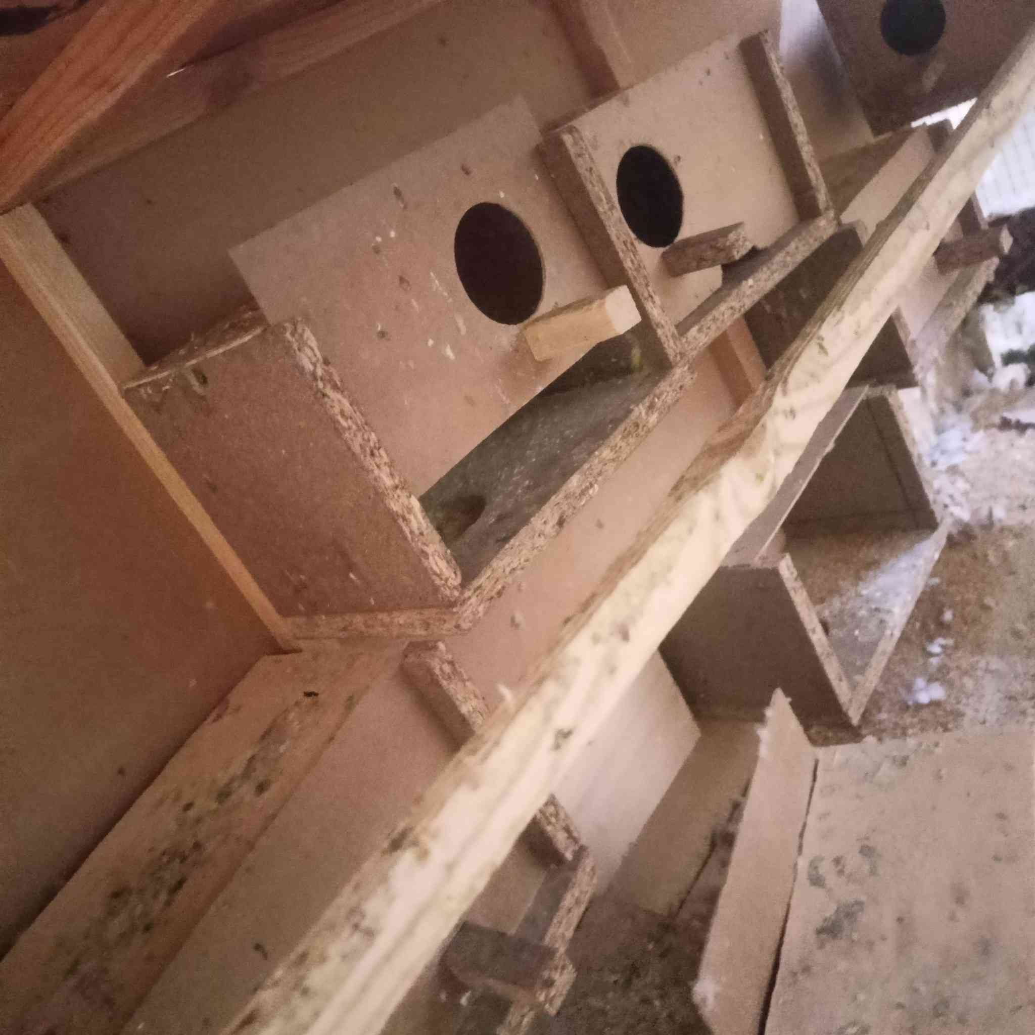 السلام عليكم قفص مال طيور حب لبيع 25وبي مجال رقم ***********
