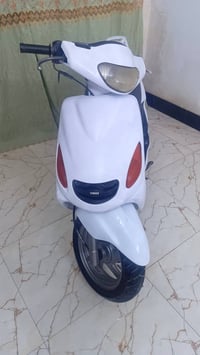 اكزز • فحل • معدلة