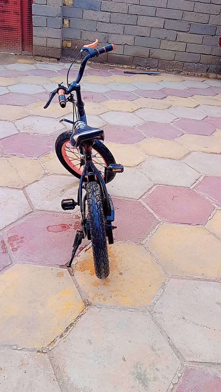 سلام عليكم 
بيسكل حجم 16 نظيف وحلو بريكات شغالات ثنينهن حلو ونظيف السعر 30 المكان ناصريه مركز الاتصال (***********)
