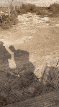 نص دونم واجه 34 عل شارع 10متر طابو سند 25 متوفر جميع الخدمات  العنوان ...