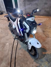 البصرة • شحنة ٨٠كيلو • ما بيها نقص