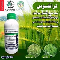 تراكسوس • أدغال رفيعة • حقول الحنطة