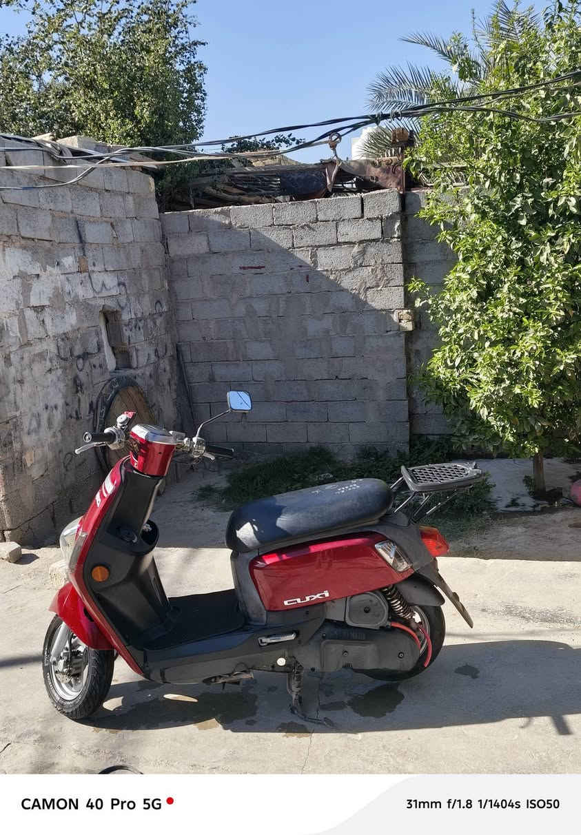 دراجه بوليس نوزل مسطرة للبيع السعر ب 800 وبيه مجال مكاني كربلاء يم سوق الحبوبي مامفتوحه ولامبدله  اي شي  ....  خاص


**إذا كنت صاحب هذا الإعلان وتريد حذفه لأي سبب، رجاءا أرسل رسالة إلى الدعم الفني**