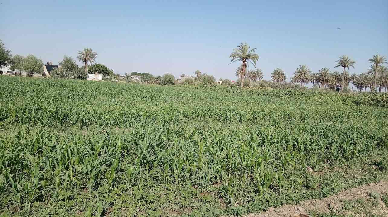 حيدر ضمانه اذر ضمان اي واحد يدور خليه يخابرني هذا لا ضمانه ومناسبه خوش دره للضمانه خوش يدرى للضمانه خوش دره للضمانه خوش يدرى للضمانه ومناسبه بسعر مناسب اي واحد يريد خليه يخابرنا مقابيل بستان الصلال اي واحد يريد خليه يخابرنا خوش ذره ومناسبه بسعر مناسب


**إذا كنت صاحب هذا الإعلان وتريد حذفه لأي سبب، رجاءا أرسل رسالة إلى الدعم الفني**