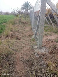 جاهزين للعمل • خدمات