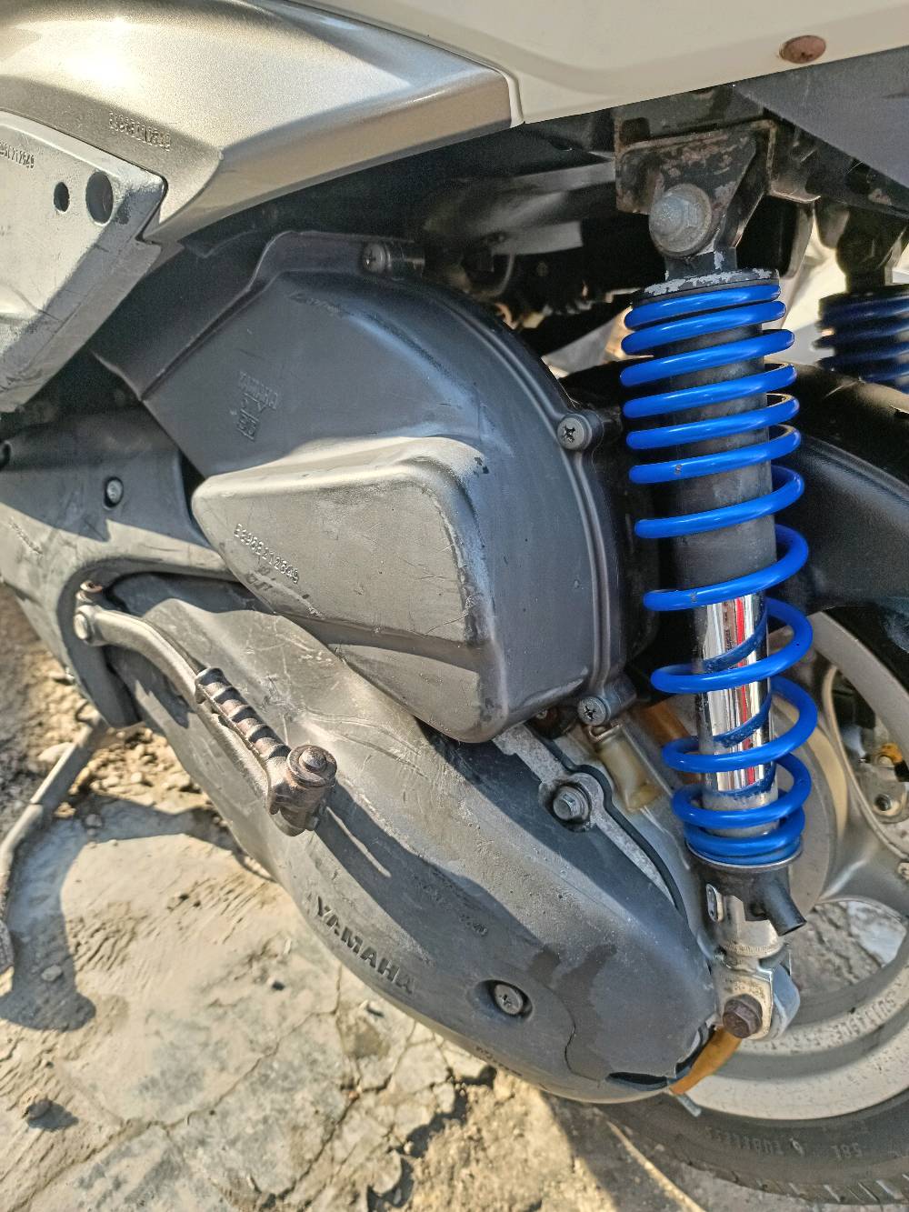 دراجة سكنس فحل نوزل مال رمبة مكفولة كفالة عامة 
العنوان
بغداد
