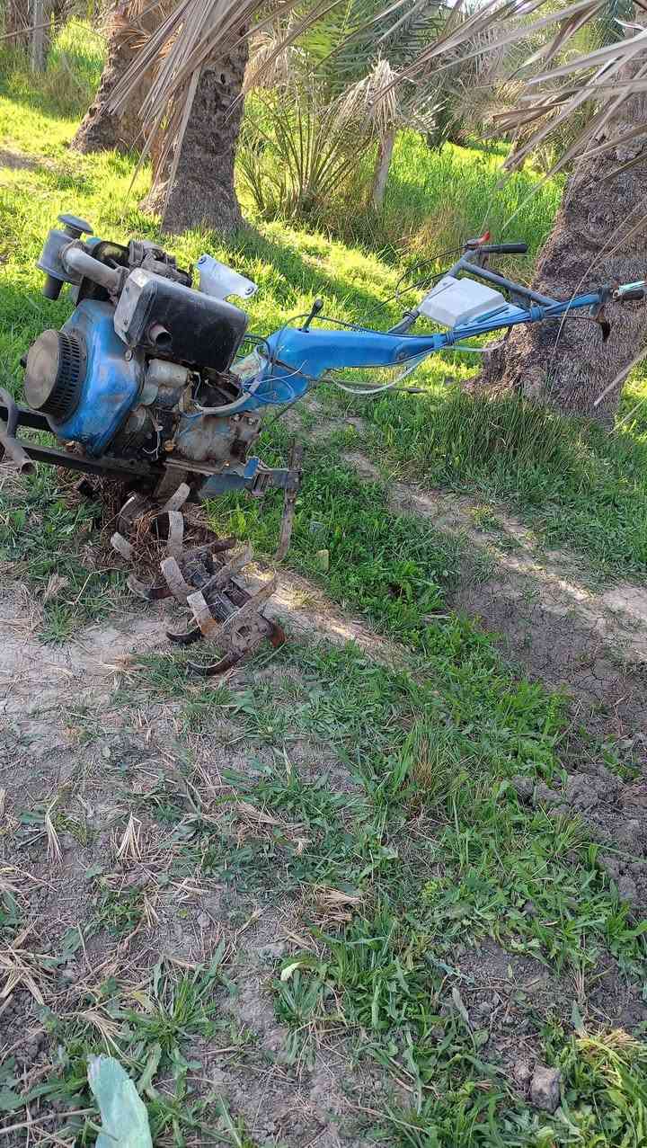 سلام عليكم للبيع كاروبه يدويه 14 حصان 
بس عطله


**إذا كنت صاحب هذا الإعلان وتريد حذفه لأي سبب، رجاءا أرسل رسالة إلى الدعم الفني**