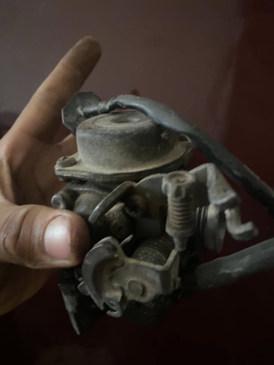 عقل ماكس رياضي اوبوليس  +كابريتي مال ماكس بلادي او بوليس
***********
