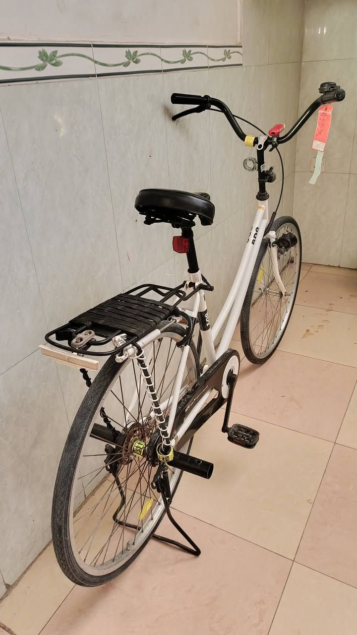 اسلام عليكم 🤍شباب باسكلل 🤍للبيع 26 🤍نضافه 100/90🤍 كامل برغي ما عايزز 🤍مكان نجف 🤍حي السلام الشراي خاصص 🤍


**إذا كنت صاحب هذا الإعلان وتريد حذفه لأي سبب، رجاءا أرسل رسالة إلى الدعم الفني**