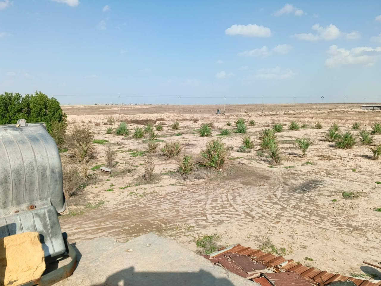 مزرعه للبيع
المساحه :5دونم ونصف 
الموقع :الدواجن على شارع الدواجن التبليط 
المحتويات :بيت هيكل يحتوي على ديوان ٦×٤ +غرفه  +غرفه ثانيه ٣×٤ 
المزروعات :50 نخله 
***********
