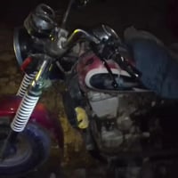 دايمون • ٢٠١٦ • أوراق